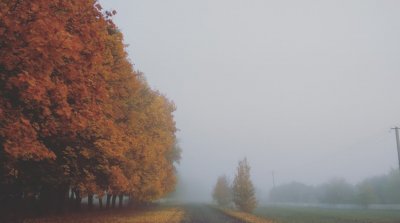 Рибалка на платній водоймі у с. Остапівка Полтавської області