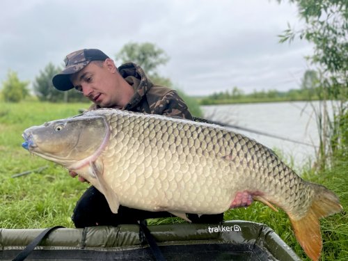 Риболовля на ставку Перші Бугаї в Харківській області