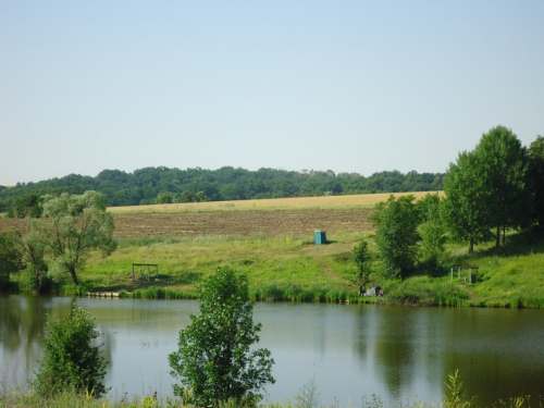 Риболовля на ставку Перші Бугаї в Харківській області