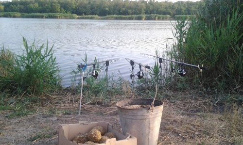 Риболовля на ставці Бердянське