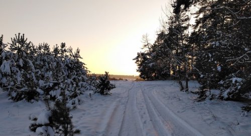 Рыбалка на ставке в с. Новая Любомирка Ровенской области