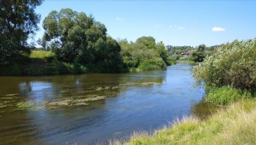 Рыбалка на ставке в с. Новая Любомирка Ровенской области