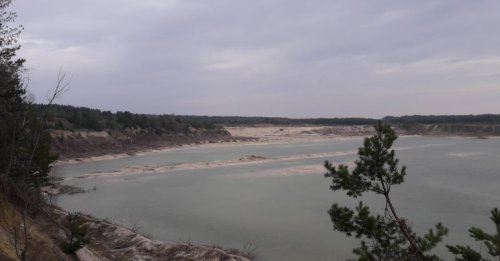 Рыбалка на ставке в с. Новая Любомирка Ровенской области