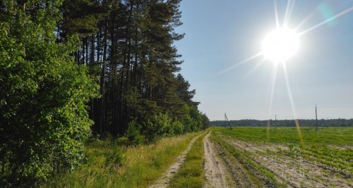 Рыбалка на ставке в с. Новая Любомирка Ровенской области