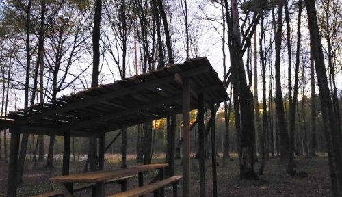 Рыбалка на ставке в с. Новая Любомирка Ровенской области