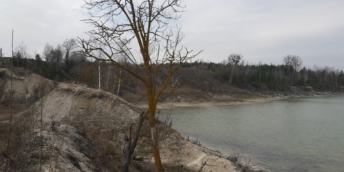 Рыбалка на ставке в с. Новая Любомирка Ровенской области