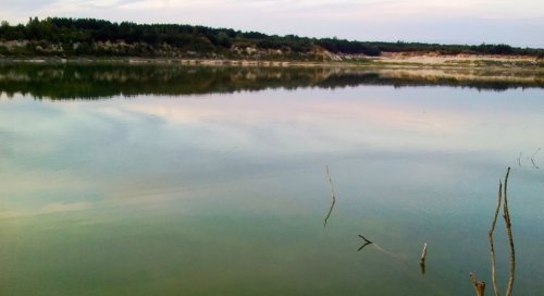 Рыбалка на ставке в с. Новая Любомирка Ровенской области