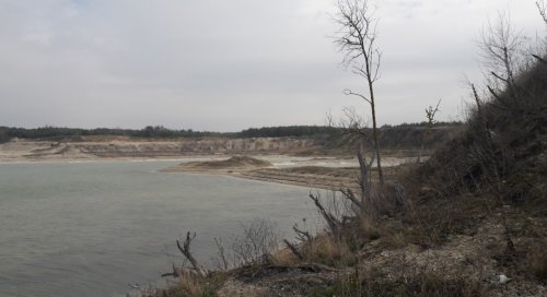 Рыбалка на ставке в с. Новая Любомирка Ровенской области