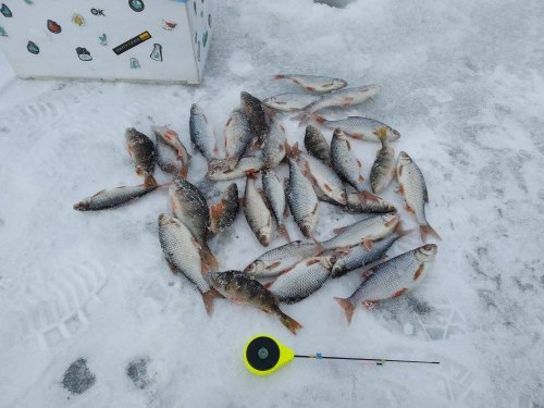 Рыбалка на ставке в с. Пески