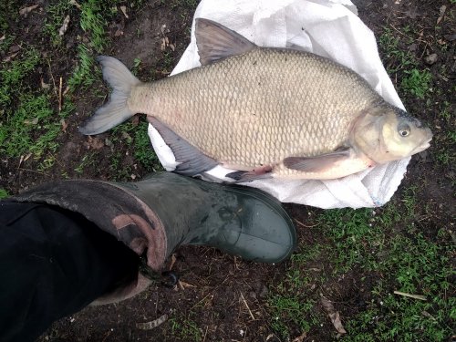 Рыбалка на ставке в с. Пески