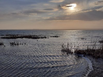 Рыбалка на Тилигульском лимане