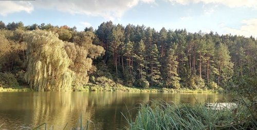 Риболовля на воді у санаторії «Медобори» в Тернопільській області