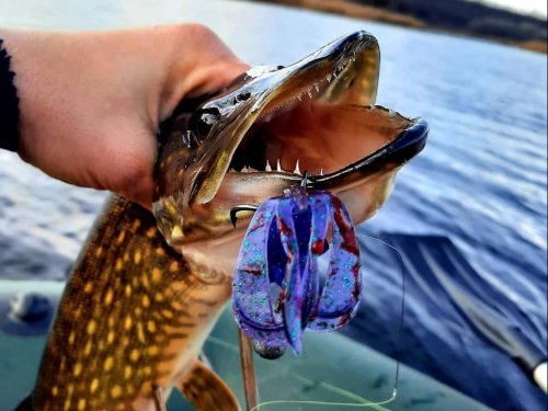 Рыбалка на водоёме в с. Островерховка