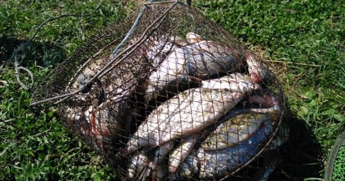 Рыбалка на водохранилище Христосова