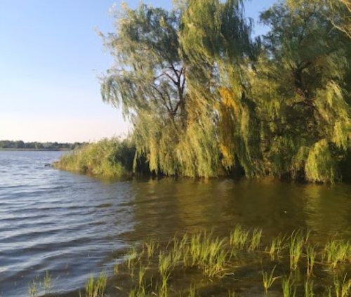 Рыбалка на водохранилище в с. Берёзовка