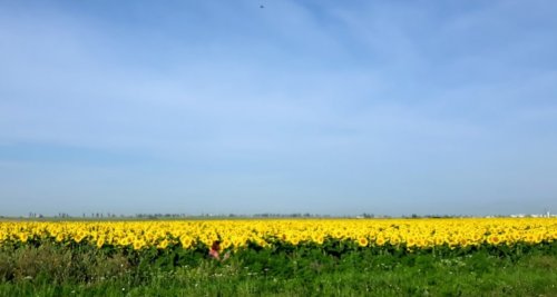Рыбалка на Южном Буге ниже с. Сапетня