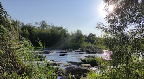 Рыбалка на Южном Буге возле с. Курипчино
