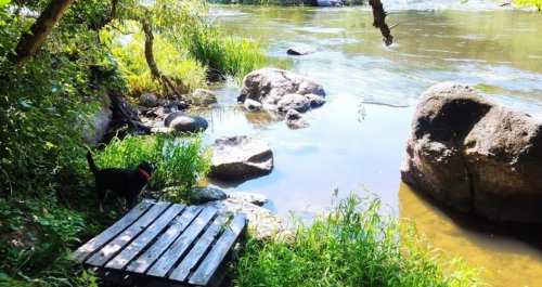 Рыбалка на Южном Буге возле с. Курипчино