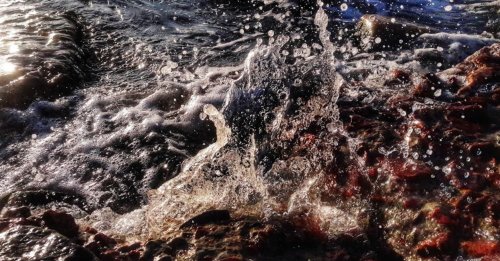 Риболовля на затоці у Бердянську в Запорізькій області