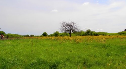 Рыбалка на заводском ставке в с. Будылки Сумской области