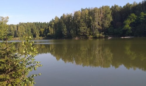 Рыбалка на заводском ставке в с. Будылки Сумской области