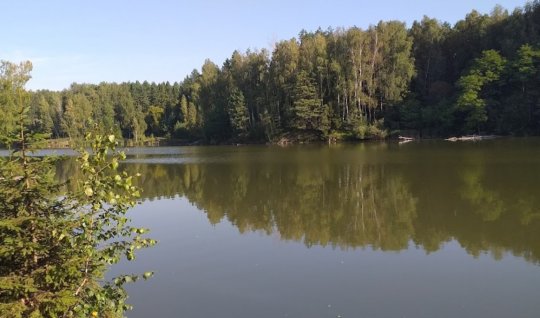 Рыбалка на заводском ставке в с. Будылки Сумской области