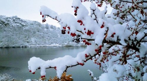 Рыбалка в пруду охладительной электростанции