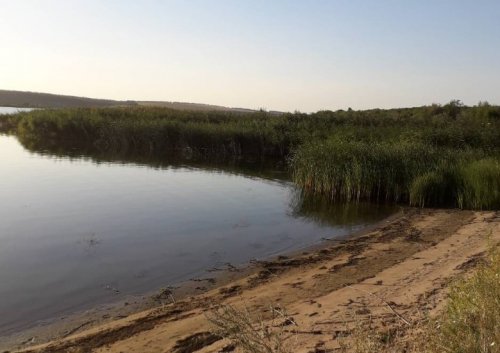 Рыбалка в пруду охладительной электростанции