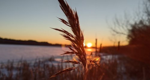 Рыбалка в с. Дубровка Сумской области
