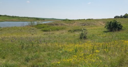 Риболовля та відпочинок в селі Новотроїцьке у Запорізькій області