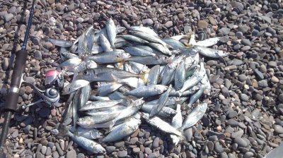 Рыбалка в селе Скалистое в Крыму