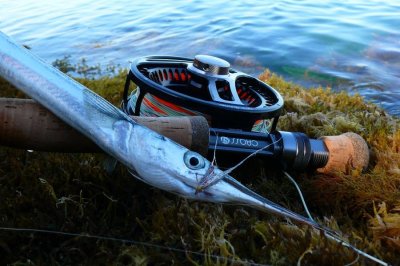 Рыбалка в селе Скалистое в Крыму