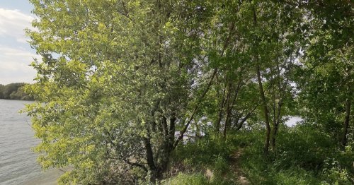 Рыбалка в водоёме с. Новая Слобода 