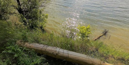 Рыбалка в водоёме с. Новая Слобода 