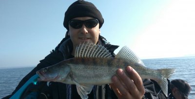 Рибальсько-мисливська база 