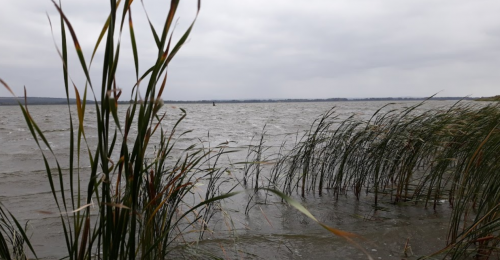 Риболовля та відпочинок: Садиба «Агап та Хая»