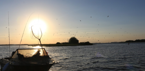 Риболовля та відпочинок: Садиба «Агап та Хая»