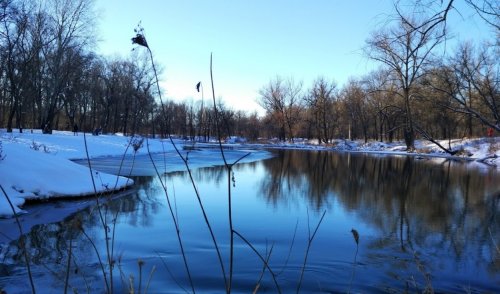 Сватовское водохранилище в Луганской области
