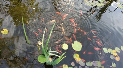 Рибалка на турбазі 