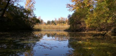 Рибалка на турбазі 