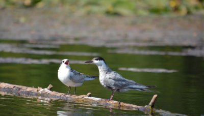 Рибалка на турбазі 