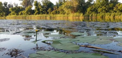 Рибалка на турбазі 