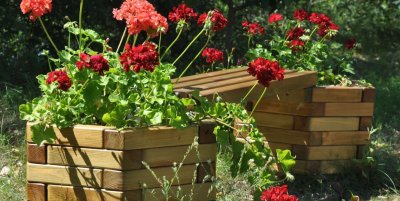 Рибалка на турбазі 