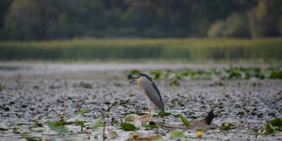 Рибалка на турбазі 