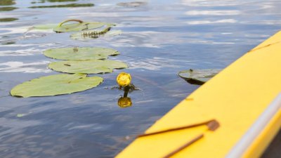 Рибалка на турбазі 