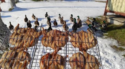 Усадьба «Рибальський стан»