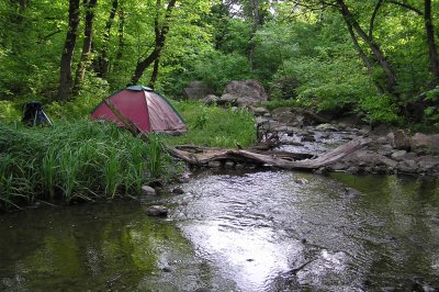 Устя річки Велика Корабельна при впаданні в Південний Буг Миколаївської області