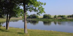 Водоем в селе Покутинцы Виньковецкого р-ну