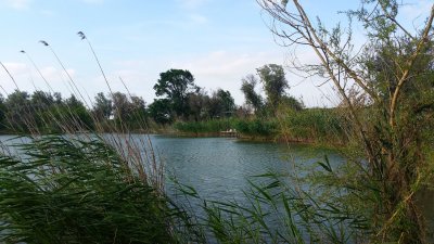 Рыбалка на водоеме -  Белая скала