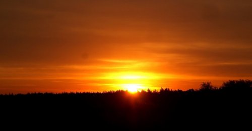 Водоём для рыбалки в с. Половинкино 